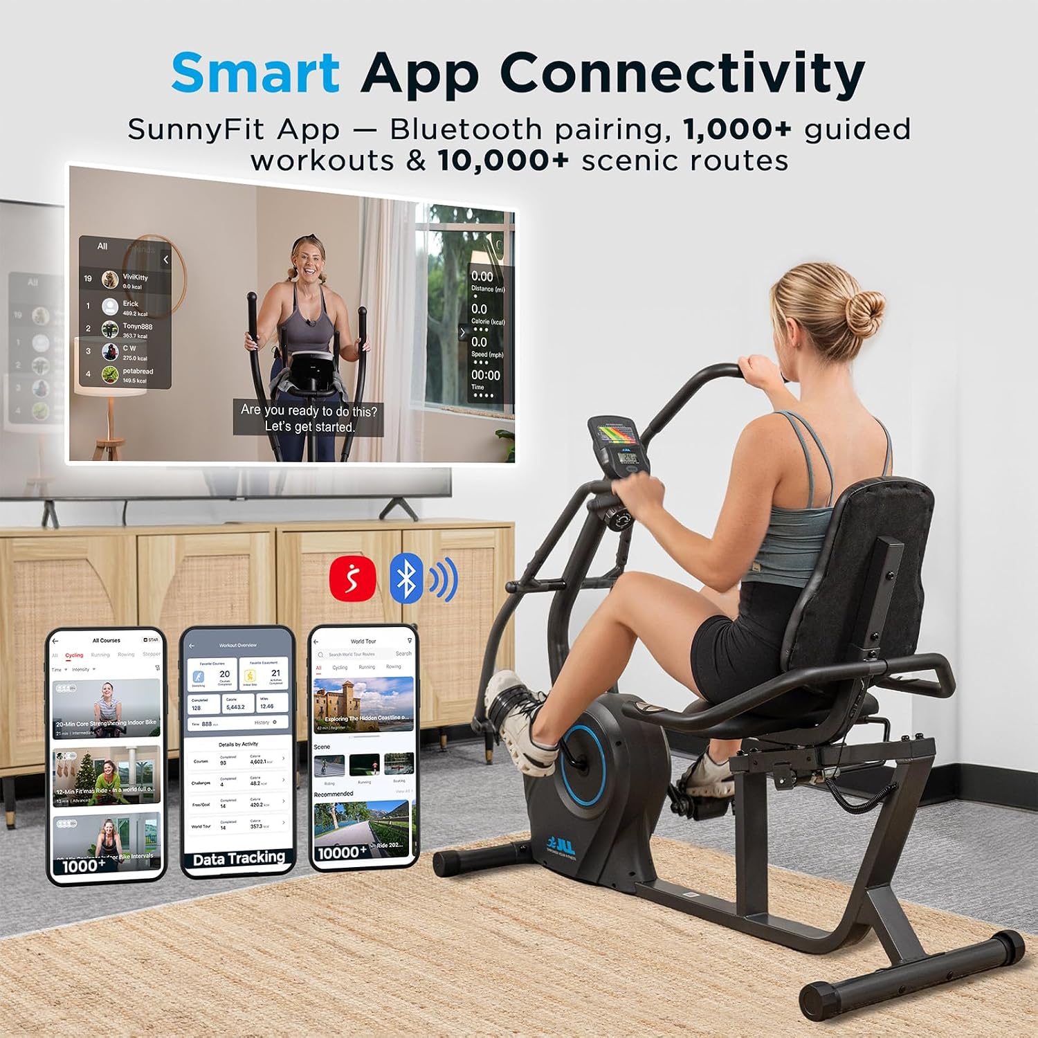 Smart Magnetic Recumbent Bike  - đánh giá và giá Home Gym Custom