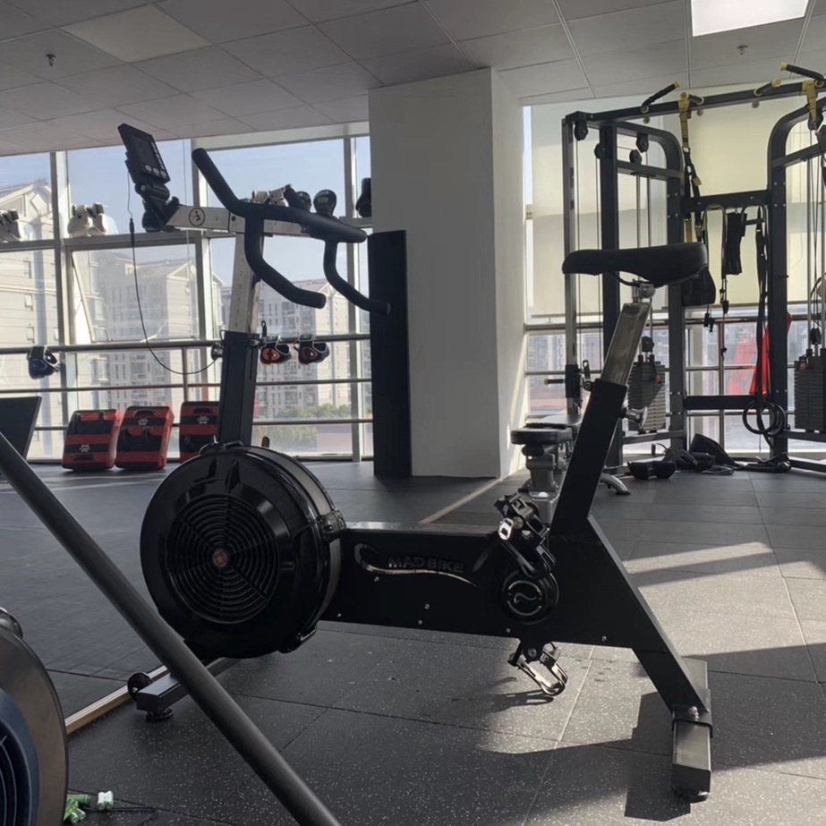 OEM Air Resistance Bike 2 ERG, - đánh giá và giá Home Gym Resistance Machine
