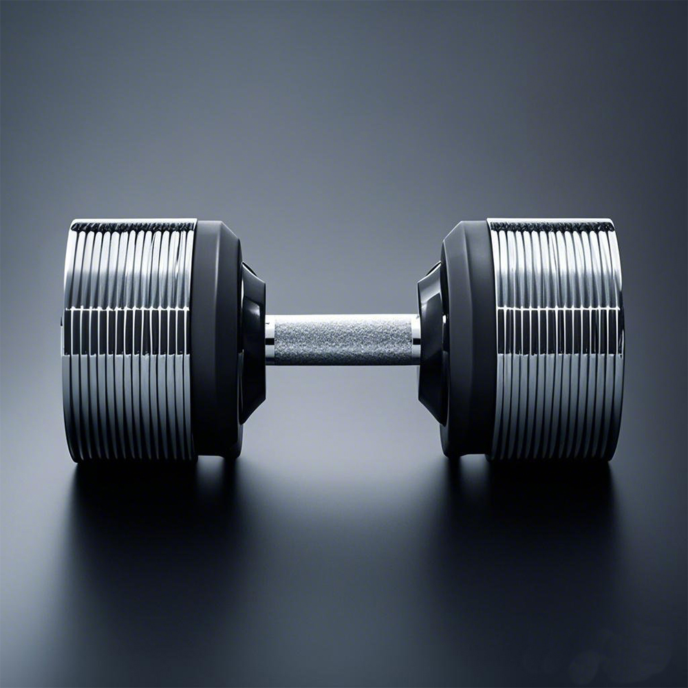 40kg Adjustable Increments Dum - đánh giá và giá Home Gym Custom