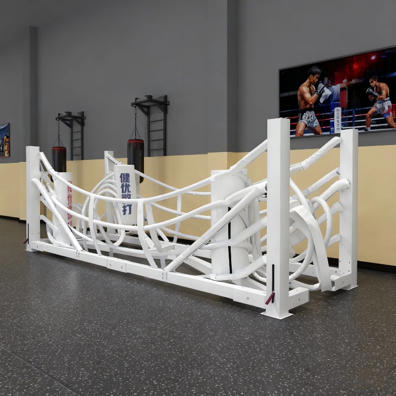 Foldable Gym Boxing Ring Set S - đánh giá và giá Home Gym Set