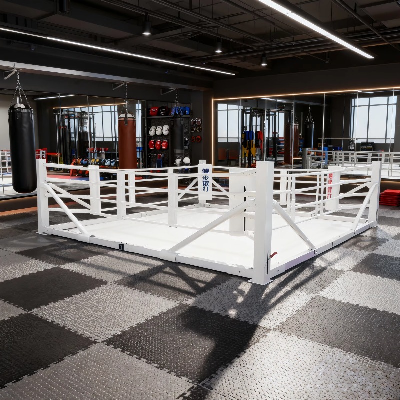Foldable Gym Boxing Ring Set S - đánh giá và giá Home Gym Set