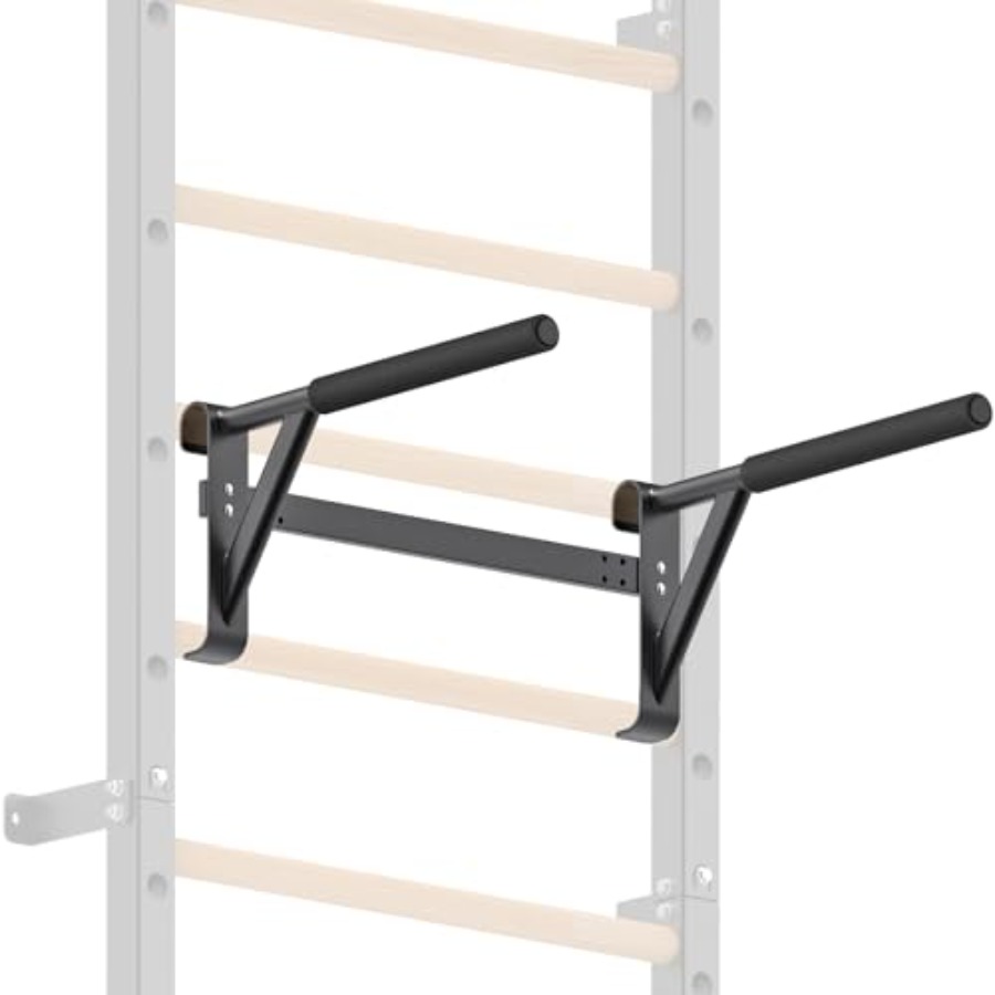 Wall Mounted Gymnastic Stall B - đánh giá và giá Home Gym Pull Up