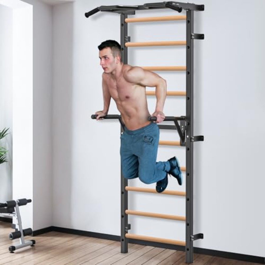 Wall Mounted Gymnastic Stall B - đánh giá và giá Home Gym Pull Up