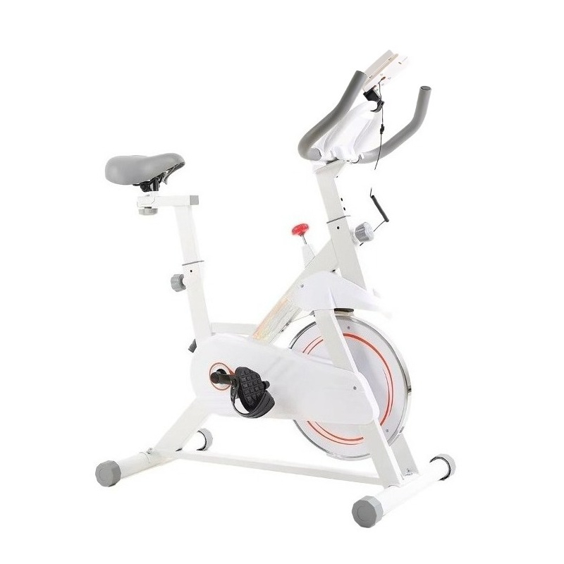 New Professional Spinning Bike - đánh giá và giá Home Gym Layout