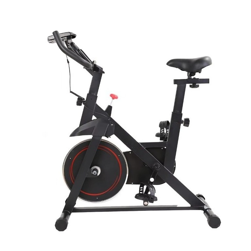 New Professional Spinning Bike - đánh giá và giá Home Gym Layout