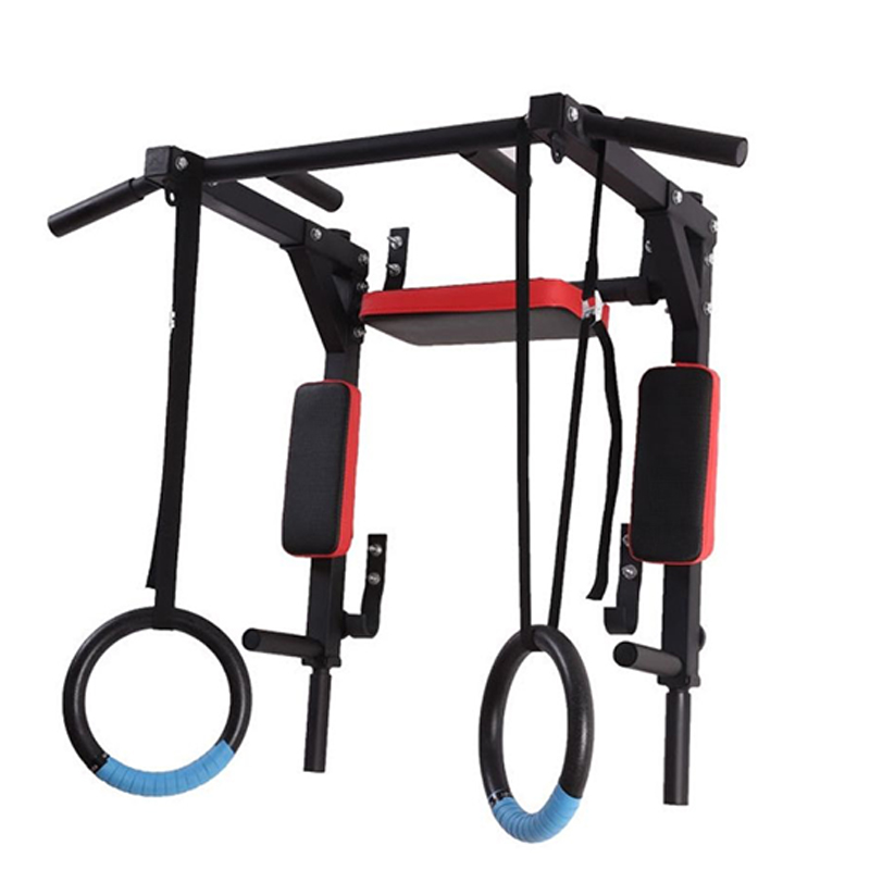Heavy Duty Wall Mounted Parall - đánh giá và giá Home Gym Wall Mounted