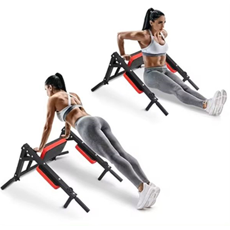 Heavy Duty Wall Mounted Parall - đánh giá và giá Home Gym Wall Mounted