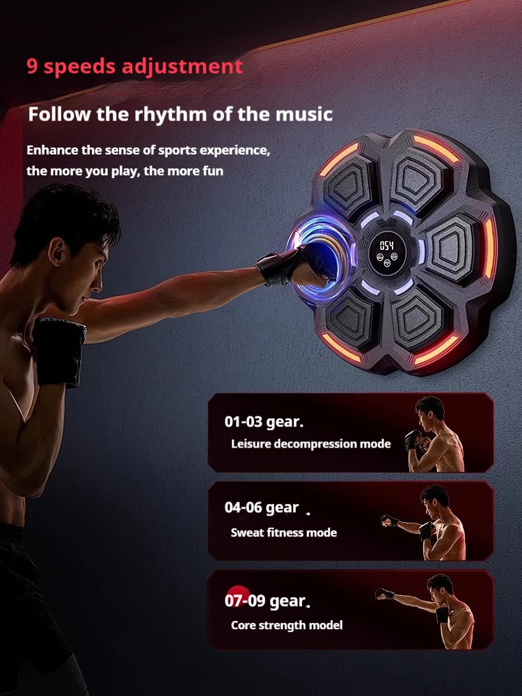 Height-Adjustable Intelligent  - đánh giá và giá Home Gym Wall Mounted
