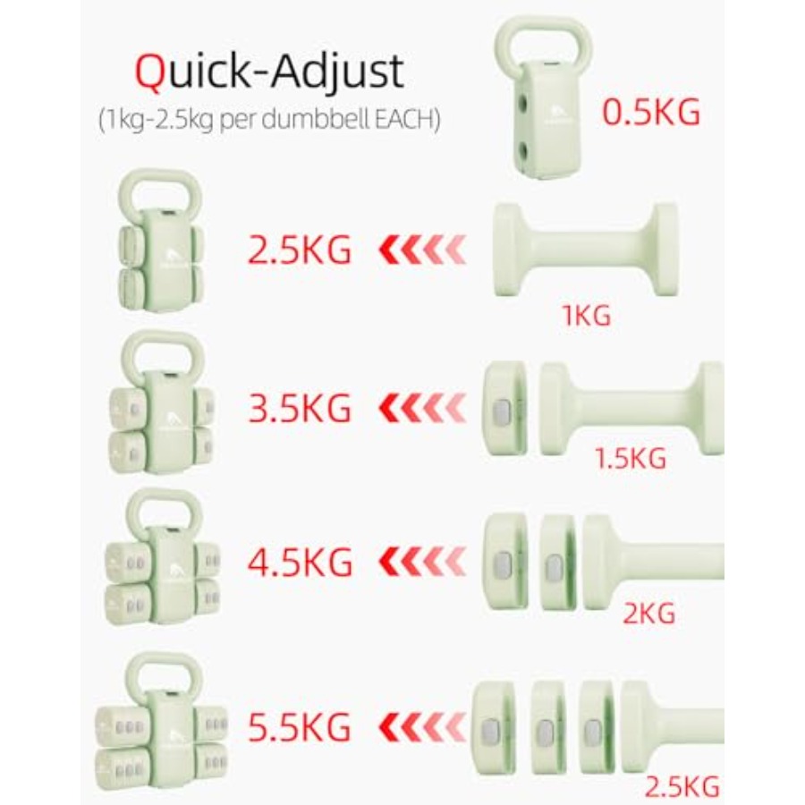 Home gym dumbbell set: 4-in-1  - đánh giá và giá Home Gym Set