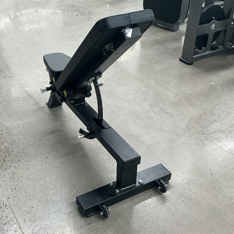Adjustable Home Gym Dumbbell B - đánh giá và giá Home Gym Bench
