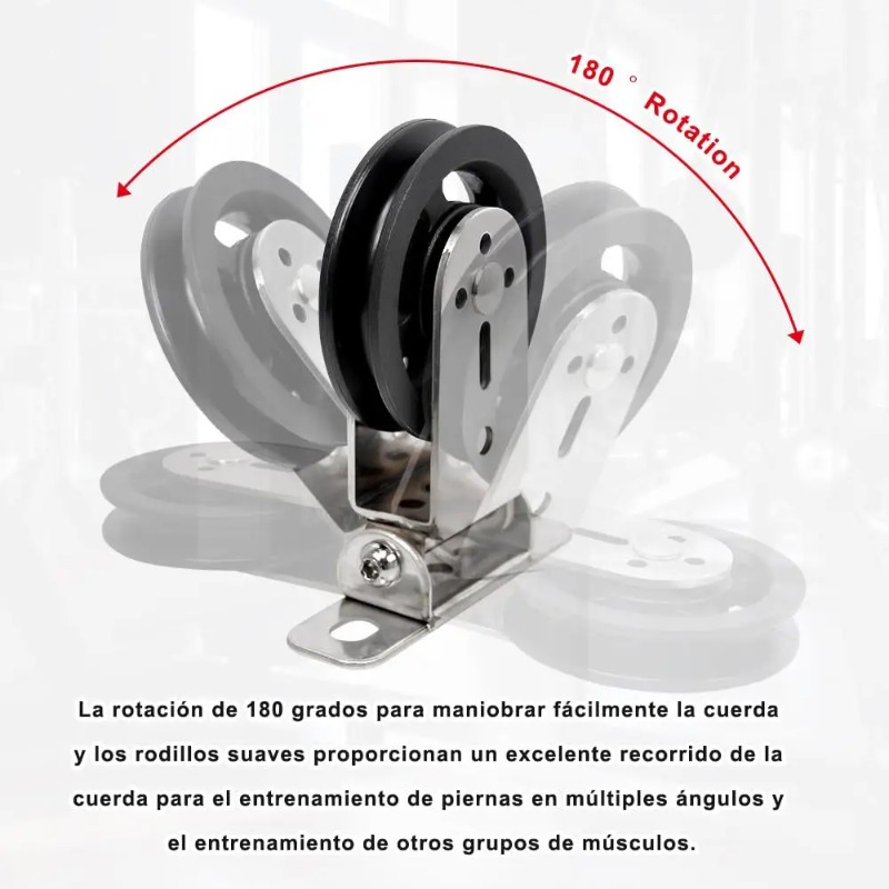 Mute Rotatable Stainless Steel - đánh giá và giá Home Gym Custom